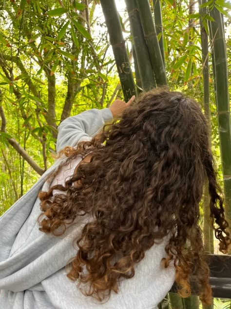 Brunette Curly Hair Girl, Curly Brown Hair Aesthetic, Curly Hair Aesthetic Faceless, Aesthetic Bamboo, Aesthetic Green Nature, Signs Aesthetic, Wild Curly Hair, Curly Wurly, California Aesthetic