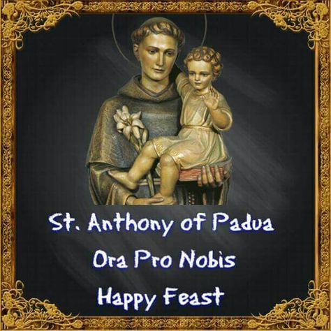 St. Anthony of Padua Saint Antony, St Anthony Of Padua, Happy Feast, Anthony Of Padua, Saint Anthony Of Padua, St Anthony, Saint Anthony, Inspirational People, Catholic Church