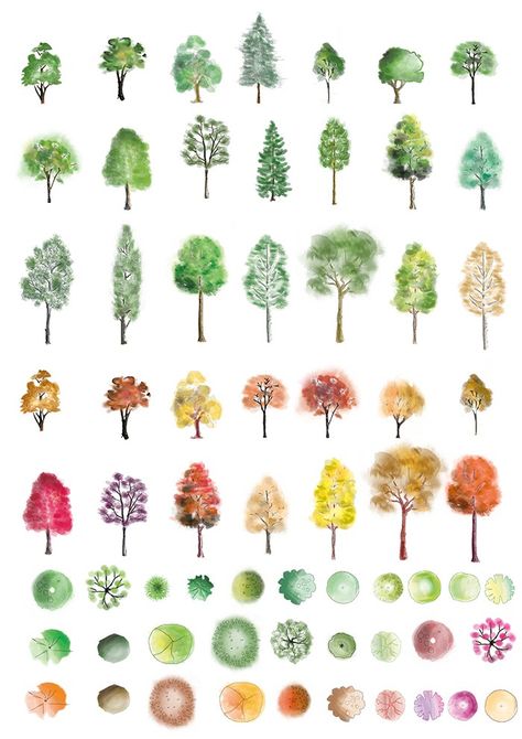 A huge set of colour trees in photoshop finished in different artistic style, showing both summer and autumn colours. These are ready to be dropped directly into your photoshop visuals. Colour Tree… Photoshop Tree, Tree Photoshop, Color Photoshop, Tree Sketches, Seni Dan Kraf, Landscape Sketch, Architecture Graphics, 수채화 그림, Watercolor Trees