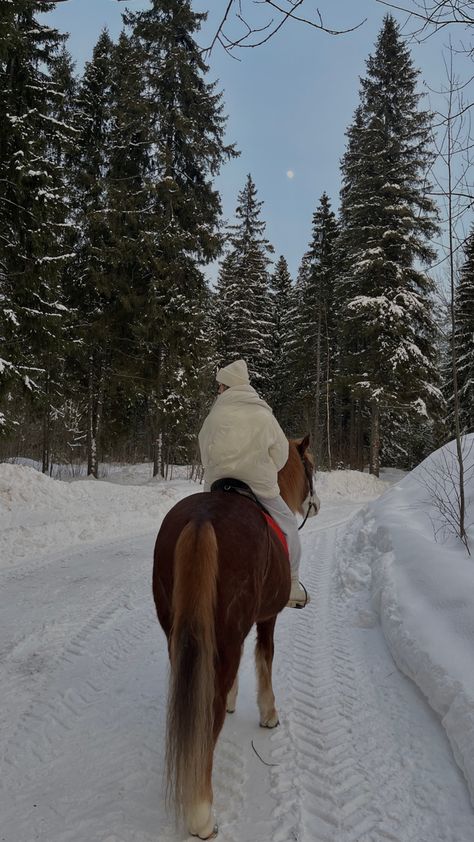 Christmas Horse Aesthetic, Winter Horseback Riding, Horse Winter Photoshoot, Horse Riding In Snow, Winter Horse Riding, Horses In Snow, Horsey Life, Horse Riding Aesthetic, Winter Horse