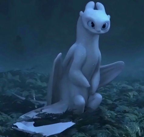 A Screencap of the Light Fury from the HTTYD 3 Trailer by Dreamworks. How To Train Your Dragon: The Hidden World How To Train Your Dragon Light Fury, Httyd Light Fury, Httyd Screencaps, Light Fury Dragon, The Light Fury, The Hidden World, Dragon Movies, Httyd 3, Light Fury