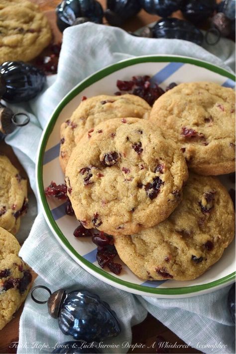 Cornmeal Dried Cranberry Brown Sugar Cookies - While many cookies are typically reserved for dessert, these brown sugar cookies encourage you to think outside of the box. Whether enjoyed alongside a warm bowl of soup, paired with a crisp salad, or as a dessert to conclude a meal, these sweet and savory cornmeal cookies are bound to become an instant favorite, no matter the time of year. With their satisfying yellow cornmeal crunch and their chewy burst of dried cranberry sweetness, they offer a unique and irresistible flavor experience. Cornmeal Cookies, Crisp Salad, Dried Cranberry, Brown Sugar Cookies, Bowl Of Soup, Cookie Scoop, Dried Cranberries, Sweet And Savory, Faith Hope Love