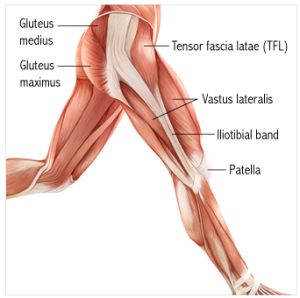 TFL Release for Relaxed Hips and Low Back Pain Relief - I know some of you have waited a long time for this! I had to get creative because I didn’t want to give you something that was already out there, nor anything that’s only minimally effective. I’m happy to report I was able to come up with something that mimics ... Tfl Release, Tensor Fasciae Latae, Leg Anatomy, Iliotibial Band, Low Back Pain Relief, Severe Back Pain, Muscle Anatomy, It Band, Hip Pain