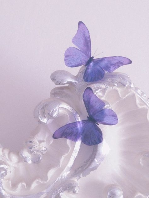 Iphone Purple Wallpaper, Theme Rp Soft Purple, Heather Aesthetic, Wallpaper Iphone Purple, Mirror Butterfly, Iphone Purple, Korean Aesthetics, Magical Butterfly, Aesthetic Ethereal