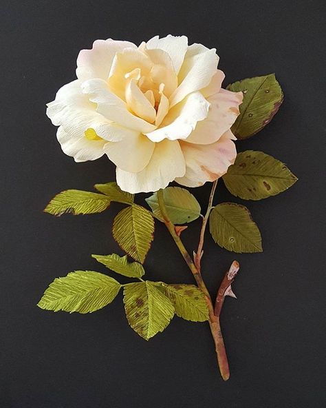 Flowers Reference, Flower References, Flower Reference, Rose Reference, Fleurs Diy, Flowers Photo, Beautiful Flowers Photos, Rose Photo, Crepe Paper Flowers