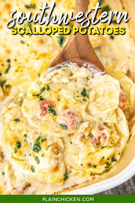 Scallop Potatoes, Rotel Recipes, Table Baby, Grilled Chicken Tacos, Food Casseroles, Plain Chicken, Potatoe Casserole Recipes, Green Chiles, Colby Jack