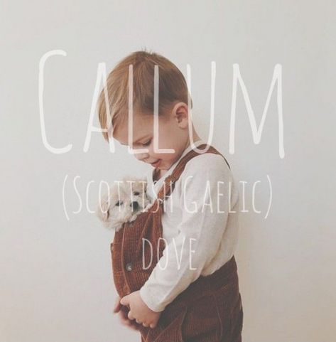 Callum Name, Hispanic Baby Names, Strong Boys Names, Gaelic Baby Names, Boy Girl Names, Unisex Baby Names, Unusual Baby Names, Scottish Gaelic, Baby Name List