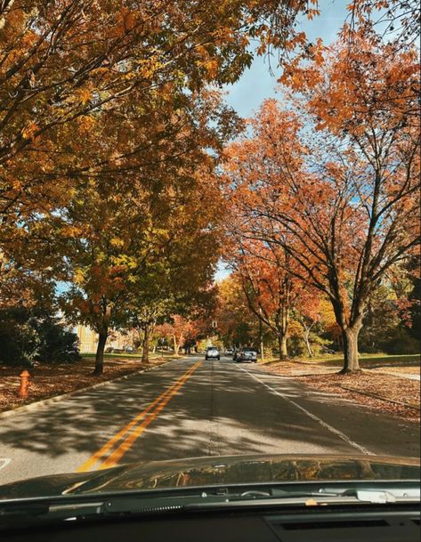 Fall Aesthetic Pictures, Cozy Season, Fall Time, Love Fall, Autumn Season, Fall Aesthetic, In The Fall, Cozy Fall, The Fall