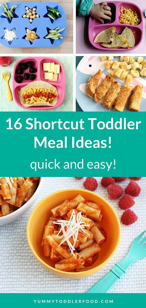 Fussy Toddler Meals, Toddler Friendly Dinner Ideas, Healthy Food For Toddlers, Toddler Meals Healthy, Toddler Food Recipes, Toddler Dinners, Toddler Food Ideas, Easy Food Ideas, Meal Plan For Toddlers