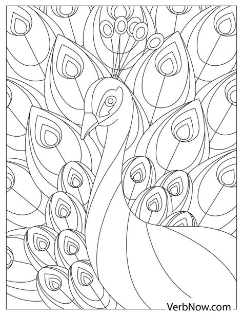 Free PEACOCK Coloring Pages for Download (Printable PDF) Quilt Pattern Coloring Pages, Peacock Coloring Pages, Color By Number Printable, Penguin Coloring Pages, Coloring Pages For Grown Ups, Peacock Pictures, Fabric Painting Techniques, Peacock Wall Art, Farm Animal Coloring Pages