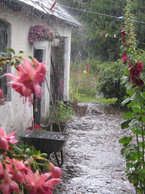 Rain And Coffee, Summer Thunderstorm, Rain Aesthetic, Rain Pictures, Little Cottages, I Love Rain, Tennessee Williams, Love Rain, Spring Rain