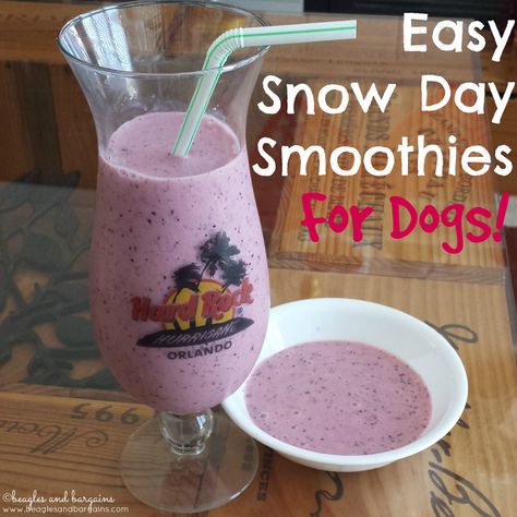 Dogs And Humans, Pet Projects, Smoothies For Kids, Food Dog, Diy Dog Treats, Fussy Eaters, Dog Cakes, Easy Smoothies, Dog Recipes