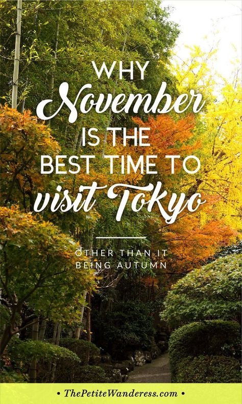 Why You Should Visit Tokyo in November • The Petite Wanderess via @thepetitewanderess Japan In November, Japan Beach, Japan Travel Destinations, Japan Holidays, Japan Destinations, Cheap Places To Travel, Tokyo Japan Travel, Japanese Travel, Visit Tokyo