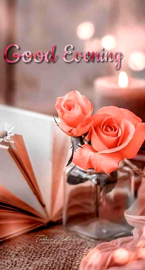 Have A Nice Evening, Good Evening Greetings, Evening Greetings, Good Night Blessings, Good Evening, Simply Beautiful, Good Night, Place Card Holders, Gif