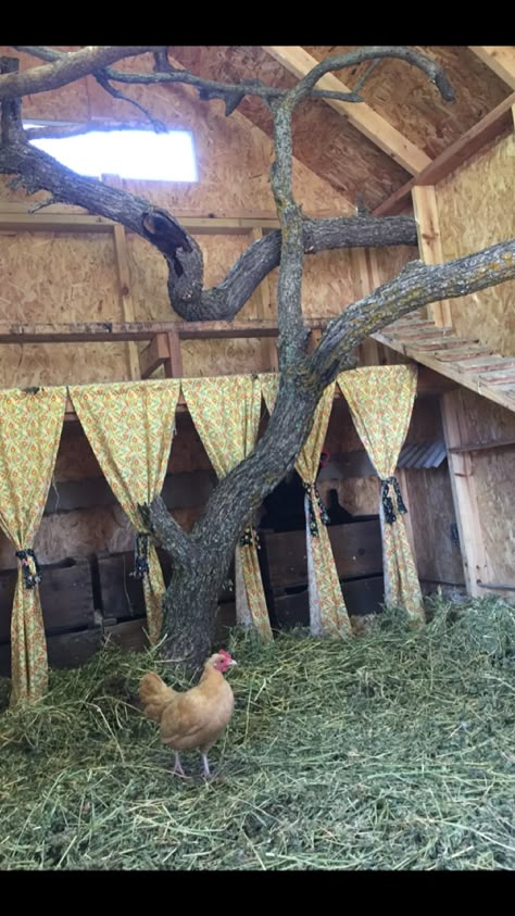 Oak branches for the girls to perch on in their custom coop! Cute Chicken Coops, Chicken Coop Garden, Backyard Chicken Coop Plans, Diy Chicken Coop Plans, Chicken Coop Run, Backyard Chicken Farming, Chicken Life, Chicken Coop Designs, Chicken Garden