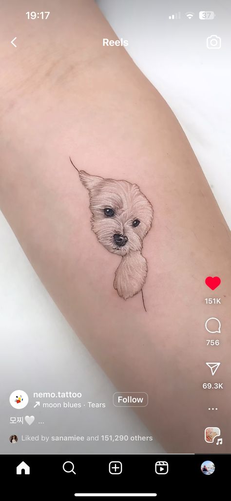 Dog Tattoo Behind Ear, Toy Poodle Tattoo Ideas, Maltipoo Tattoo, Bichon Tattoo, Cockapoo Tattoo, Yorkie Tattoo, Fine Line Dog Tattoo, Minimal Dog Tattoo, Maltese Tattoo