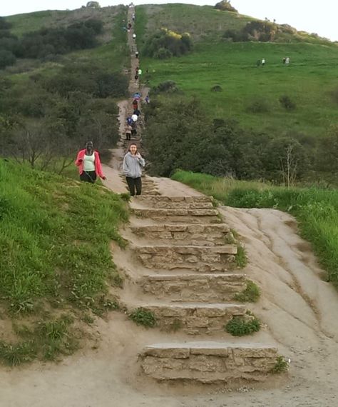 Culver City Stairs Culver City Stairs, City Stairs, Stair Workout, Stairs Canopy, Baldwin Hills, Basement Layout, Building Stairs, Running Form, Staircase Remodel