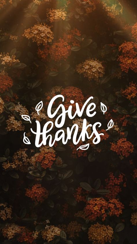 Thankful Phone Wallpaper, Thanksgiving Pictures Image, Thanksgiving Lockscreen, Cute Fall Wallpapers, Thanksgiving Background, Holidays Crafts, Thanksgiving Pictures, Fall Wallpapers, Thanksgiving Wallpaper