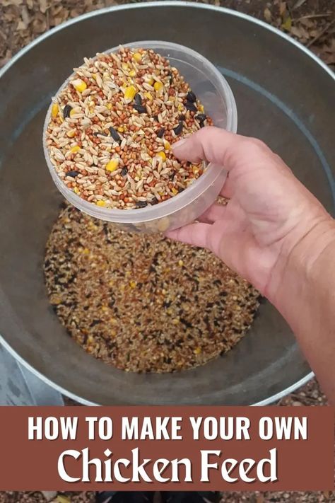 How To Make Your Own Chicken Feed • Simple At Home Organic Chicken Feed Recipe, Raising Ducks For Beginners, Ducks For Beginners, Chicken Care 101, Chicken Feed Recipe, Chicken Layer Feed, Chicken Feed Diy, What Can Chickens Eat, Backyard Chickens Diy