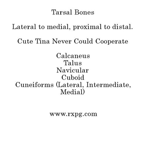 Mnemonic for learning foot tarsals. Bone Identification, Appendicular Skeleton, Anatomy Help, Medical Student Study, Student Studying, Medical Students, Human Anatomy, Anatomy, Skeleton