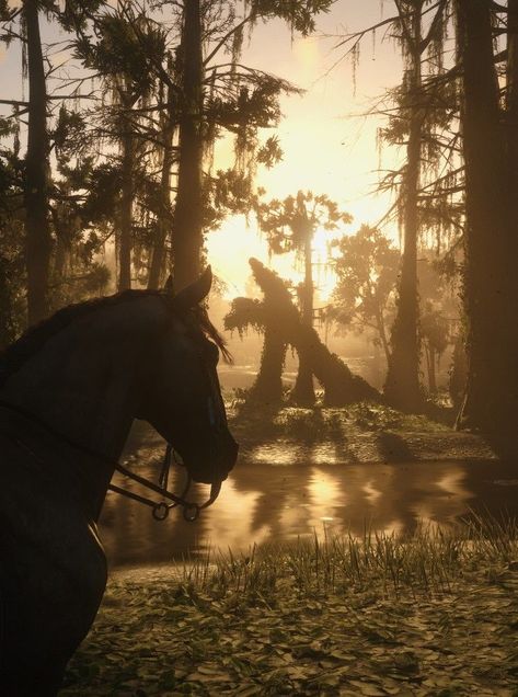 Rd2 Wallpaper, Rdr2 Nature, Val Aesthetic, Rdr Wallpaper, Rdr2 Aesthetic, Rdr2 Horses, Rdr2 Wallpaper, Charlie The Unicorn, Red Dead Redemption Ii