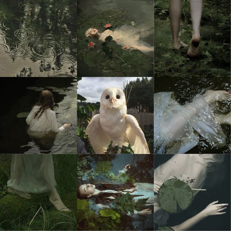 Bird Mood Board, Medieval Moodboard, August Moodboard, Adopt Idea, Hex Color Palette, Color Palette Challenge, Concept Board, Mood Board Inspiration, Fantasy Aesthetic