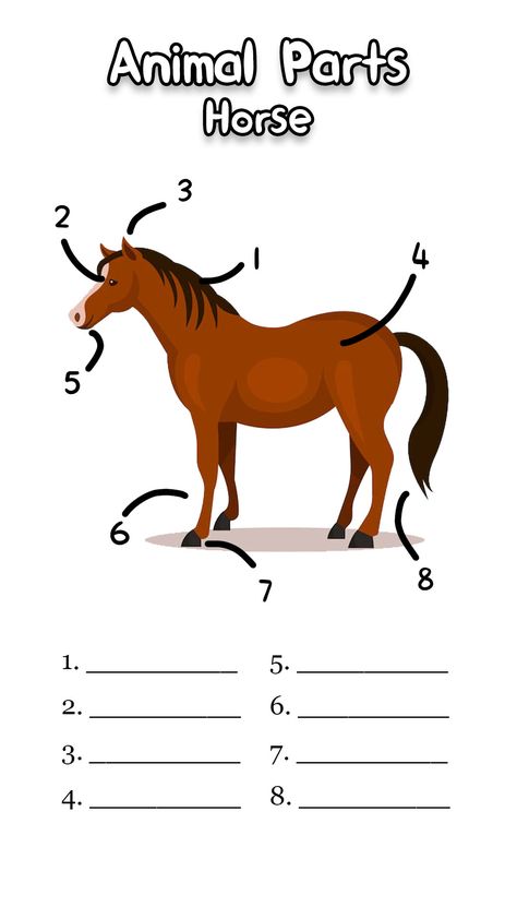 Horse Body Parts Worksheet Horse Body Parts, Horse Riding Games, Body Parts Worksheet, Body Parts For Kids, Saddle Club, Horse Lessons, Horse Information, Horse Exercises, Horse Games