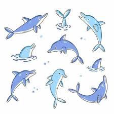 Dolphin Character Design, Dolphin Doodle, Dolphin Illustration, Drawing Time, Cute Characters, Children Illustration, Dolphins, Premium Vector, Graphic Resources