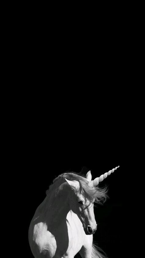 Dark Unicorn Wallpaper, Unicorn Wallpaper Aesthetic Dark, Unicorn Aesthetic Dark, Unicorn Wallpaper Aesthetic, Unicorn Black And White, Scary Unicorn, Black And White Unicorn, Unicorn Aesthetic, Dark Rise