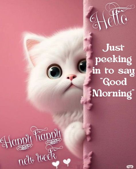 Cute Monday Morning Quotes, Just Checking In, Good Night Pictures Cute, Good Morning Cats So Cute, Happy New Week Images, Good Morning Cute Images, Happy New Week Quotes, Good Morning Funny Quotes, Funny Good Morning Pics