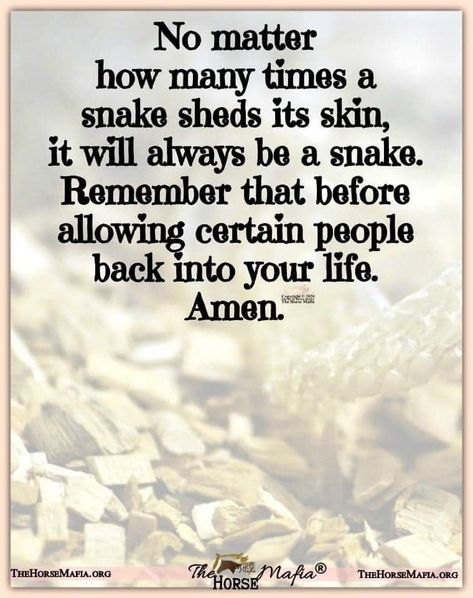 Some people are snakes in disguise. The sooner you realize... the better off you'll be. #quote #quoteoftheday Snake Quotes, Family Betrayal, Snake Shedding, Truth Serum, Betrayal Quotes, Dealing With Difficult People, In Disguise, Uplifting Quotes, Quotable Quotes