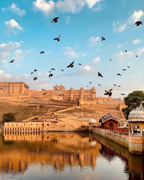 Postcards on the way🌅 . . . . #jaisalmerdiaries #jaisalmerfort #clothingbrands #printsforsale Amer Fort Jaipur, Jaipur Travel, Amber Fort, Amer Fort, India Travel Places, India Architecture, Pink City, Pre Wedding Shoot, Indian Architecture