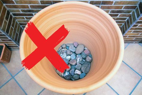 You were probably told to put rocks on the bottom of a pot to enhance drainage. However, this is a popular misconception. Let’s discuss why and what you should do instead. General Information The myth about adding rocks to your plant revolves around the concept that the stones provide better drainage. Instead, this has the […] What To Put In Bottom Of Flower Pots, What To Put In Bottom Of Large Planter, Rock Garden With Potted Plants, Flower Pot Hacks, Rocks In Plant Pots, Planter Drainage Ideas, How To Fill Large Planters Pots, Drainage For Potted Plants, Well Draining Potting Soil