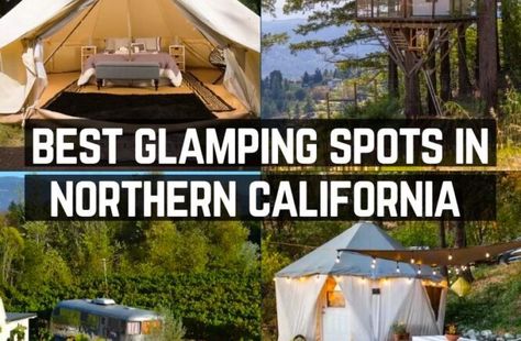 Glamping California, Redwoods California, Family Glamping, Big Basin, Folsom Lake, Stinson Beach, Mendocino Coast, Redwood National Park, Luxury Glamping