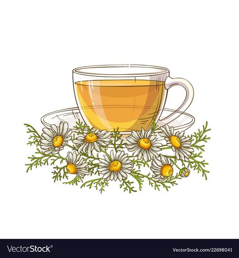 Cup Of Tea Drawing, Tea Illustration Art, Marshmallow Tea, Teapot Tattoo, Tea Cup Drawing, Tea Vector, Tea Tattoo, Tea Illustration, Herb Tea