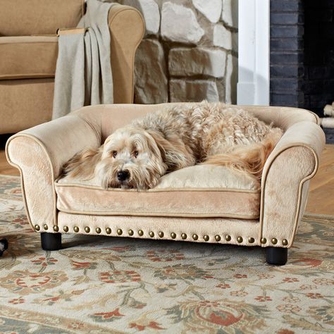 Enchanted Home Pet Dreamcatcher Pet Sofa | from hayneedle.com Dog Couch, Pet Sofa Bed, Dog Sofa Bed, Pet Sofa, Cool Dog Beds, Enchanted Home, Dog Sofa, Material Bed, Luxury Dog