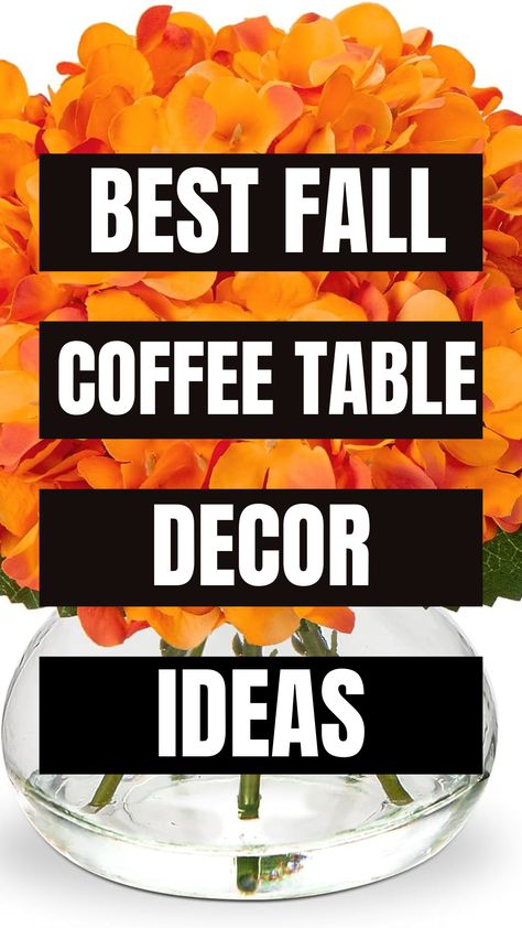 Coffee Table Styling Coffee Table Accessoires Amazon Home Decor Favorites Elevate Your Living Room Create a Cozy Set Trendy Ways to Arrange Coffee Table Decor Coffee Table Decor Coffee Table Design Coffee Table DIY Fall Decorating Ideas Fall Decor Fall Decor Ideas Cozy Fall Decor Pumpkin Decor Fall Decorating Fall Decorations Indoor Coffee Table Design Fall Aeshtestic Aesthetic Fall Autumn Decor Ideas 2023 Coffee Table, Coffee Table Fall Decor Ideas, Beachy Coffee Table, Coffee Table Fall Decor, Marble Coffe Table, Affordable Coffee Tables, Fall Coffee Table Decor, Coffee Table Decor Ideas, Coffee Table Arrangements