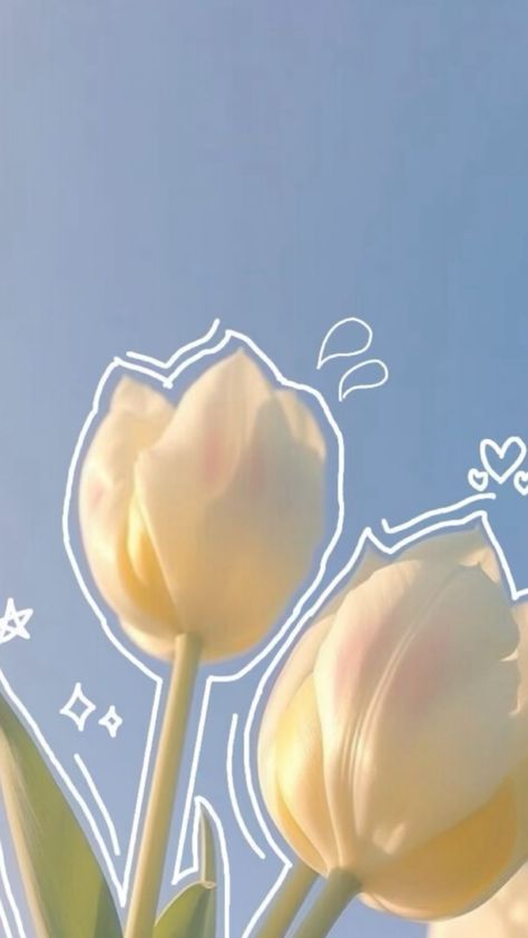 Flower Lockscreen, Hello Kitty Videos, Flowers And Gifts, Simple Phone Wallpapers, Blue Tulips, Spring Wallpaper, Aesthetic Blue, Same Day Flower Delivery, White Tulips