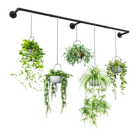 PRICES MAY VARY. 【Extension Plant Hangers】Extended design, 73" length can accommodate large windows or large indoor&outdoor walls to hang more plants. 【Durable Material and Robust Connection】Take sturdy metal material threaded joints for connection to ensure the sturdiness and durability. 【All Hardware Included】This metal plant hanger comes with all mounting hardware and detailed instructions . You can customize it for wall-mounted or ceiling.If you have any questions about the installation we a Hanging Plants In The Kitchen, Wire Plant Wall, Interior Hanging Plants, Curtain Rod Hanging Plants, Plants Above Headboard, Plants On Curtain Rod, Hanging Plant Wall Indoor, Hanging Ladder With Plants, Hang Plants From Ceiling Without Holes