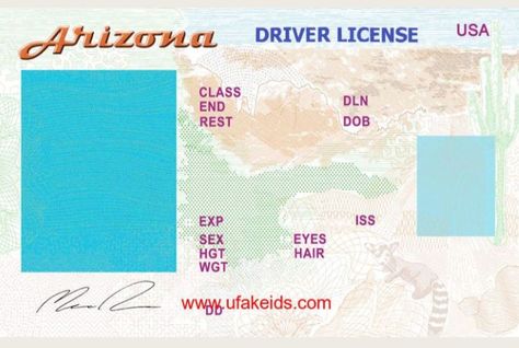 Blank Id Cards, Employee Id Card, Fake Identity, Bill Of Sale Template, International Driving Permit, Gift Cards Money, Driver License, Id Card Template, Fake Money