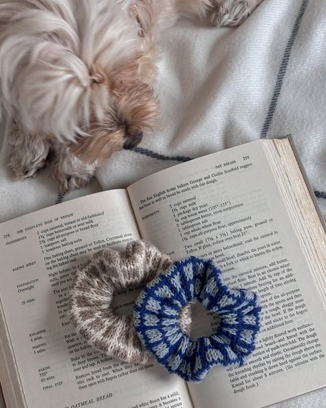 with the sun setting earlier each evening, i think we all deserve to cast on something new 💛 this is the winona scrunchie! she features a lovely window-pane pattern and is so quick to knit up, it would make a great gift if you have someone in mind 🙂 the pattern come with two options, a seamed finish or a crocheted finish. pictured here is the seamed finish 📸 everything you need to know about the pattern (yarn deets, techniques,etc) is on my etsy or ravelry! #knittingpatternrelease #knit... Scrunchie Knitting Pattern, Mohair Scrunchie, Knitted Scrunchies, Scrunchies Crochet, Knit Scrunchie, Sun Setting, Window Pane, To Cast, Christmas 2024