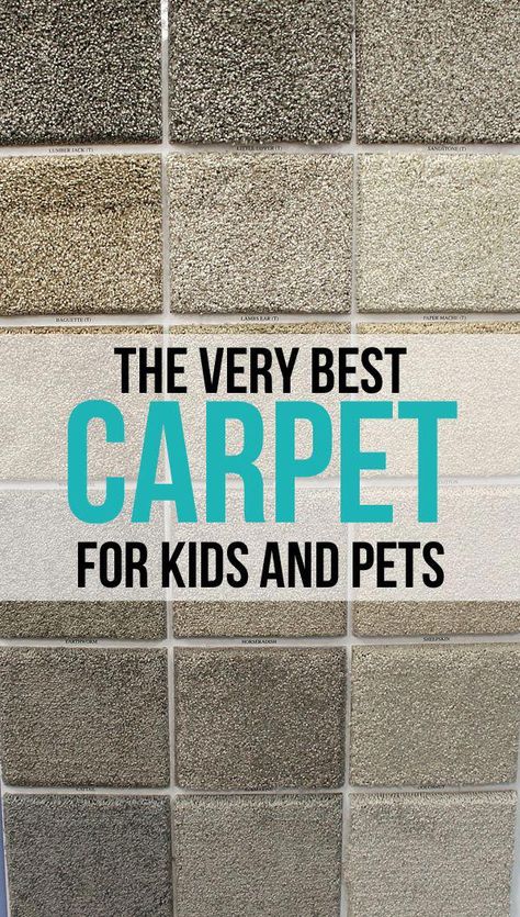 Basement Carpet, Neutral Carpet, Hanging Chairs, Hall Carpet, Carpets For Kids, Kids And Pets, Carpet Trends, Buying Carpet, Cheap Carpet Runners