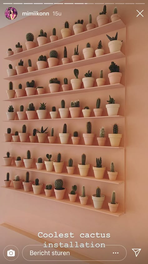 Succulent Stand Display, Plant Merchandising, Plant Store Ideas, Cactus Restaurant, Plant Shop Ideas, Plant Studio, Flower Shop Interiors, Arizona Decor, Cactus House Plants