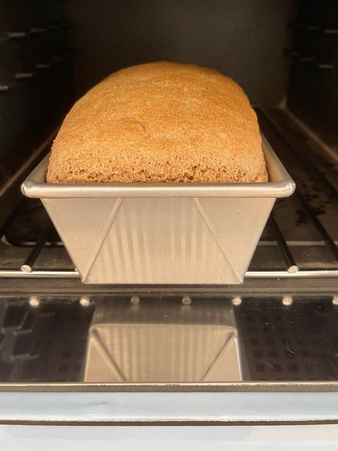 Spelt Bread Recipe - One Hundred Dollars a Month Spelt Flour Bread Machine Recipe, Spelt Sandwich Bread Recipe, Spelt Flour Bread, Spelt Bread Recipe, Spelt Flour Recipes, Spelt Recipes, Kamut Flour, Breads Recipes, Spelt Bread