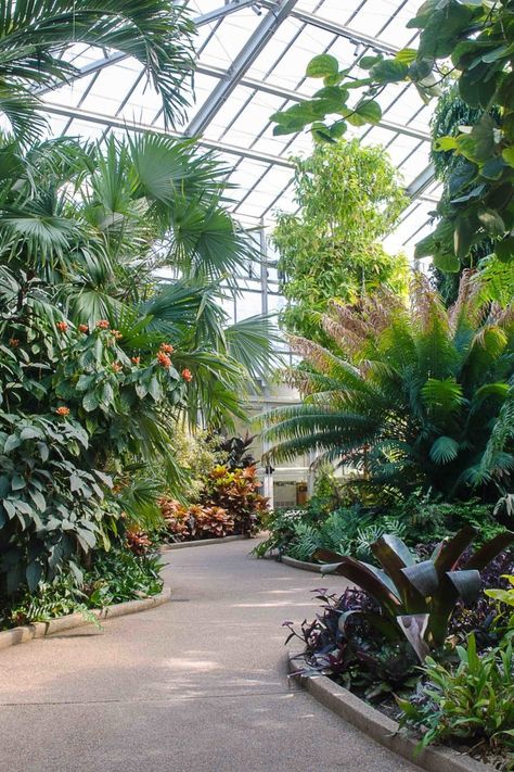 Atrium Garden, Greenhouse Venue, Tropical Greenhouses, Earthship Home, Luxury Garden, Tropical House, Indoor Flowers, Plant Aesthetic, Earthship