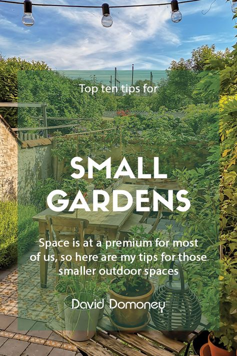 Top 10 tips for small garden design to transform your space Small Garden With Parking Space, Small Garden Landscape Ideas Backyards, Garden Design For Small Spaces, Ideas For Small Gardens Landscape Design, Narrow Garden Layout, Courtyard Gardens Design Layout, Small Garden No Grass Ideas, Tiny Gardens Design, City Garden Design