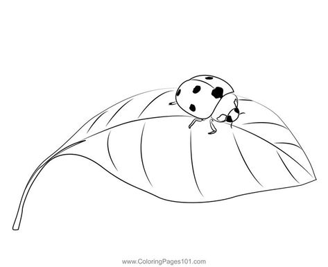 Ladybug On A Leaf Coloring Page Ladybug On Leaf Drawing, Ladybug On A Leaf Tattoo, Simple Ladybug Drawing, Lady Bird Drawing, Ladybug Drawing Simple, Ladybug Stencil, Ladybug Outline, Ladybug Doodle, Leaf Drawing Easy