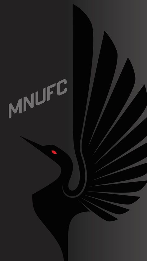 Academy Design, Ea Sports Fifa, United Wallpaper, Fifa Football, Minnesota United Fc, Minnesota State, Ea Sports, Cool Wallpaper, Football Club