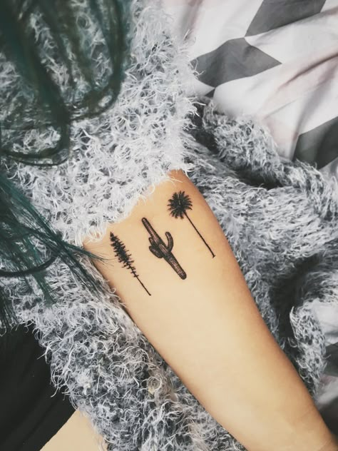 I got this pine cactus palm tree tattoo at the end of my US road trip. Pine Tree And Palm Tree Tattoo, Palm Tree Cactus Tattoo, Palm Tree Pine Tree Tattoo, Cactus And Palm Tree Tattoo, Road Trip Tattoo Ideas, Tattoo Pine Tree, Road Trip Tattoo, Saguaro Cactus Tattoo, Joshua Tree Tattoo