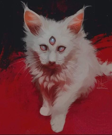 White Cat, On Tumblr, Internet, Energy, Tumblr, Memes, Red, Blue, White